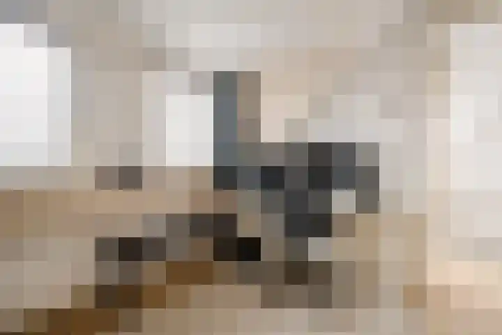 Van Kinsbergenplein 45 Haarlem thumbnail 48