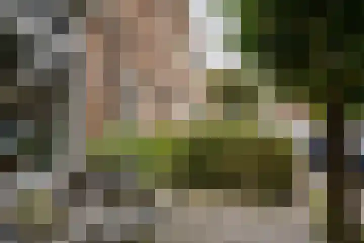 Van Kinsbergenplein 45 Haarlem thumbnail 5