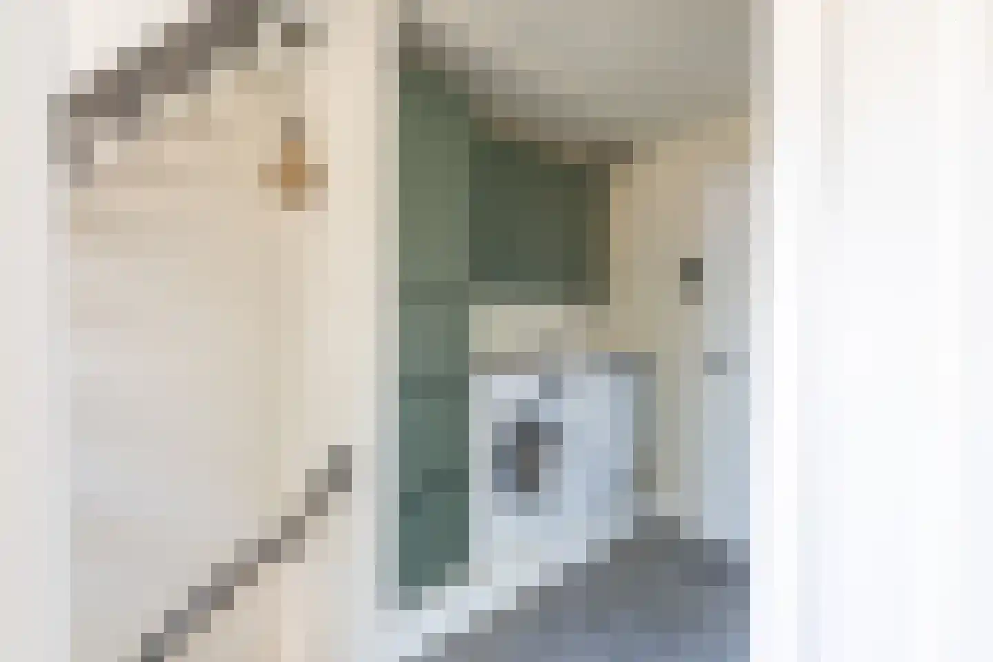 van Kinsbergenstraat 1 Bleiswijk thumbnail 25