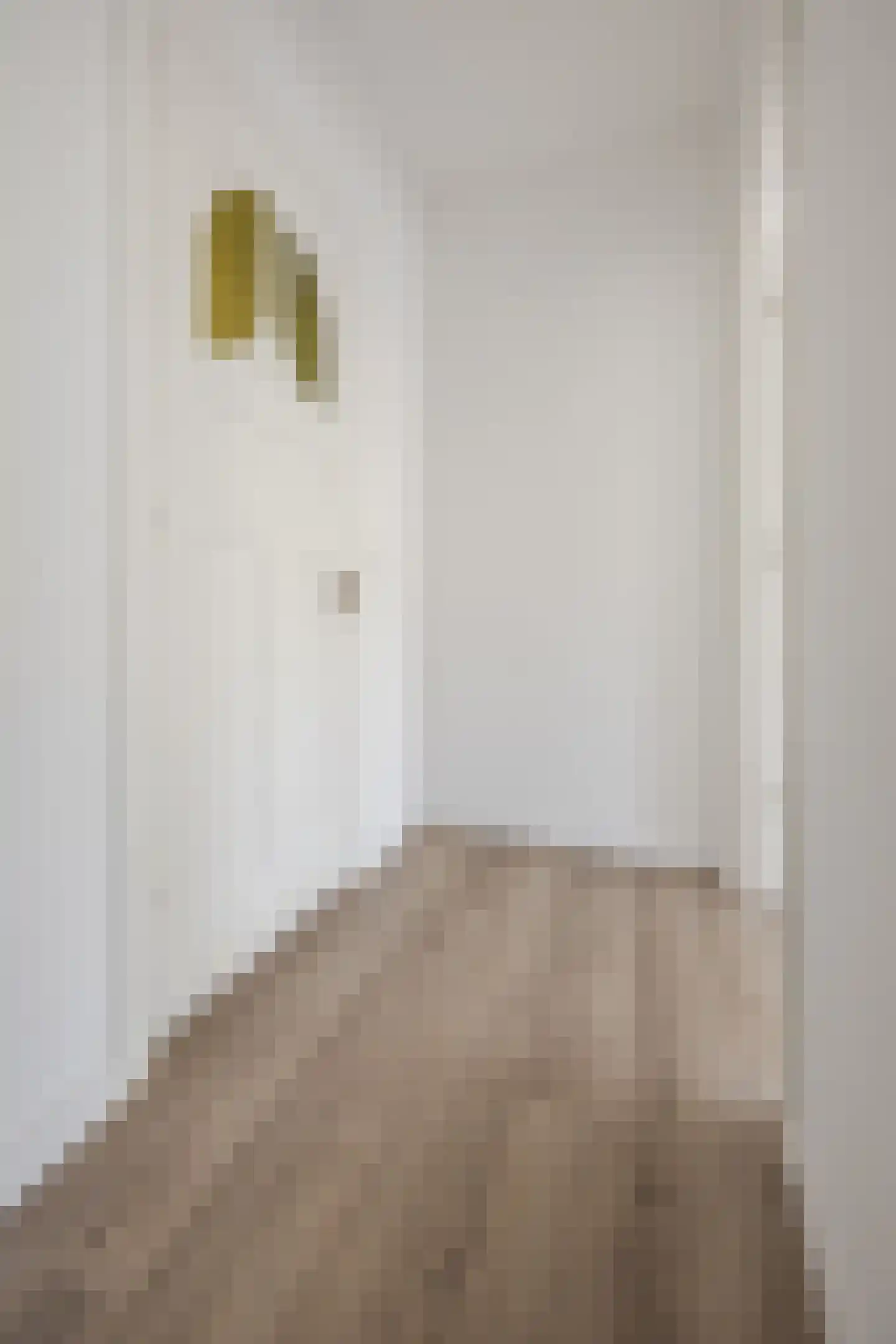 Van Kinsbergenstraat 1 C Den Haag thumbnail 10