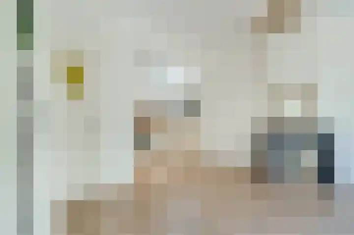 Van Kinsbergenstraat 1 C Den Haag thumbnail 19
