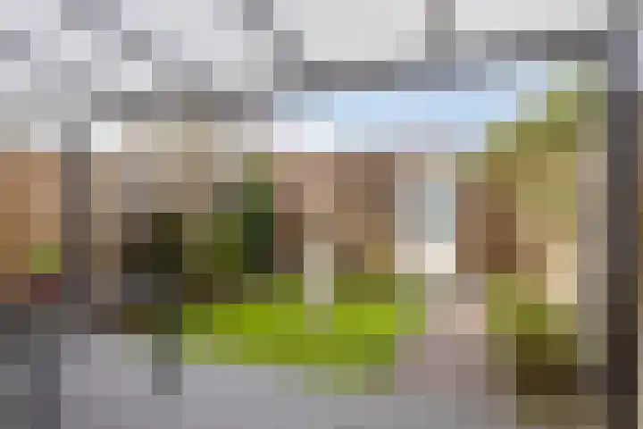 van Kinsbergenstraat 10 Eindhoven thumbnail 4