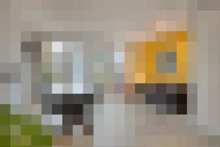 van Kinsbergenstraat 10 Eindhoven thumbnail 8