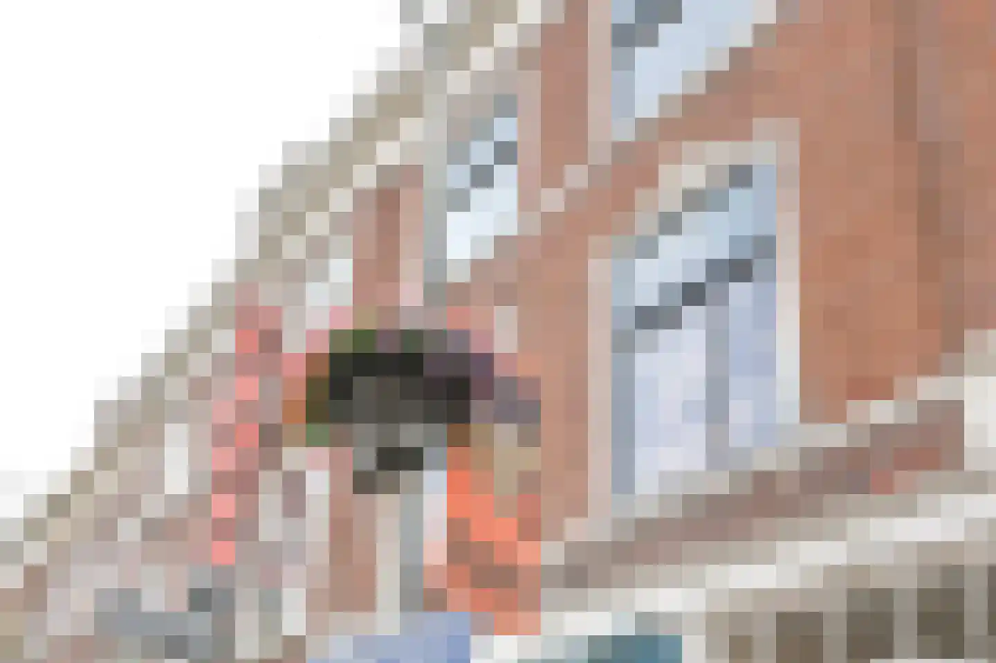 Van Kinsbergenstraat 122 B Den Haag thumbnail 37