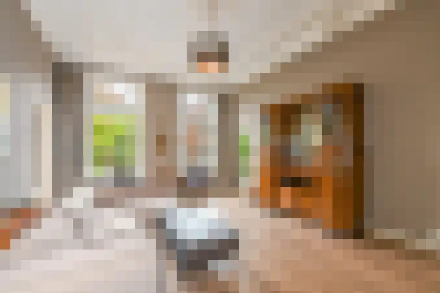 Van Kinsbergenstraat 122 B Den Haag thumbnail 4