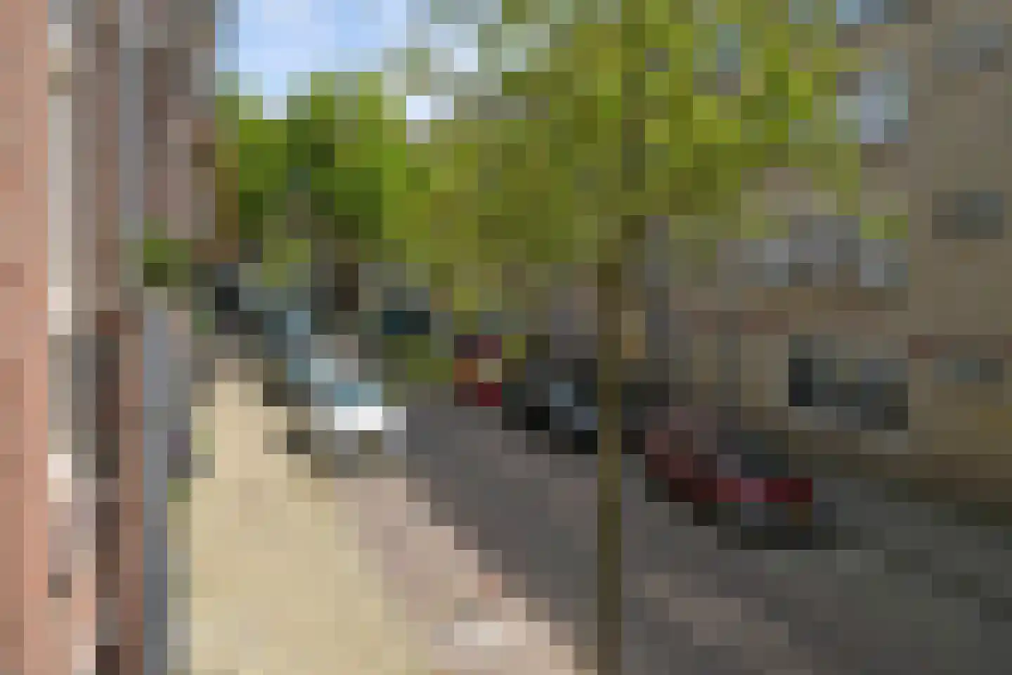 Van Kinsbergenstraat 13 Den Haag thumbnail 31