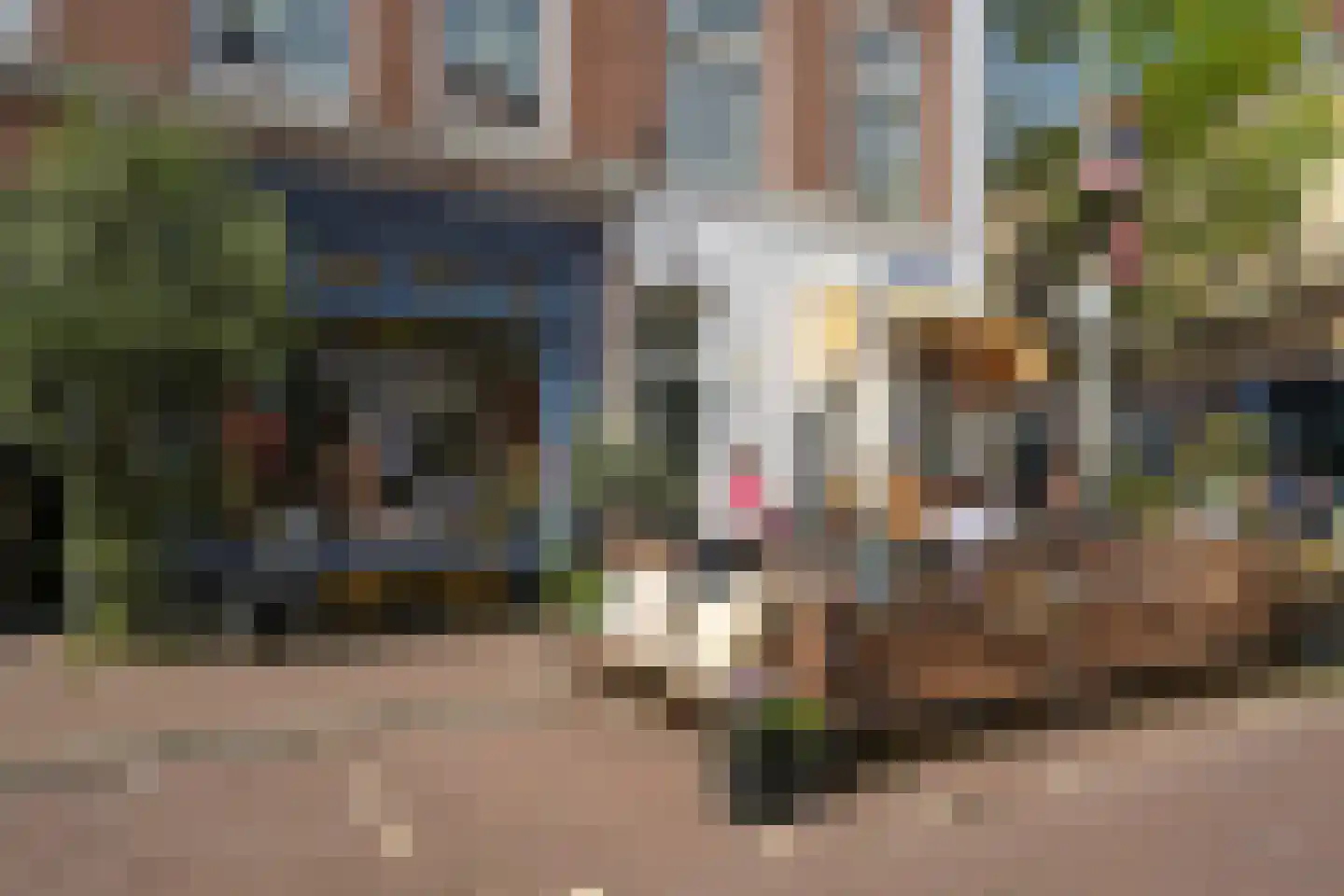 Van Kinsbergenstraat 13 Den Haag thumbnail 41