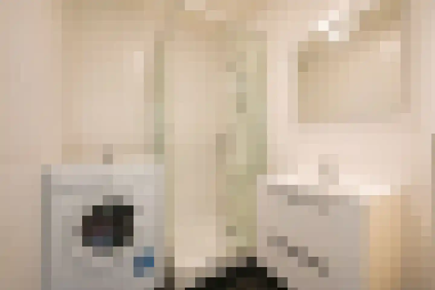 Van Kinsbergenstraat 13 Den Haag thumbnail 9