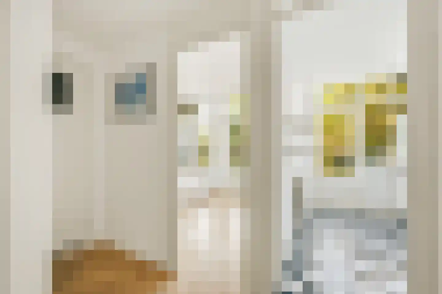 Van Kinsbergenstraat 15 2 Amsterdam thumbnail 9
