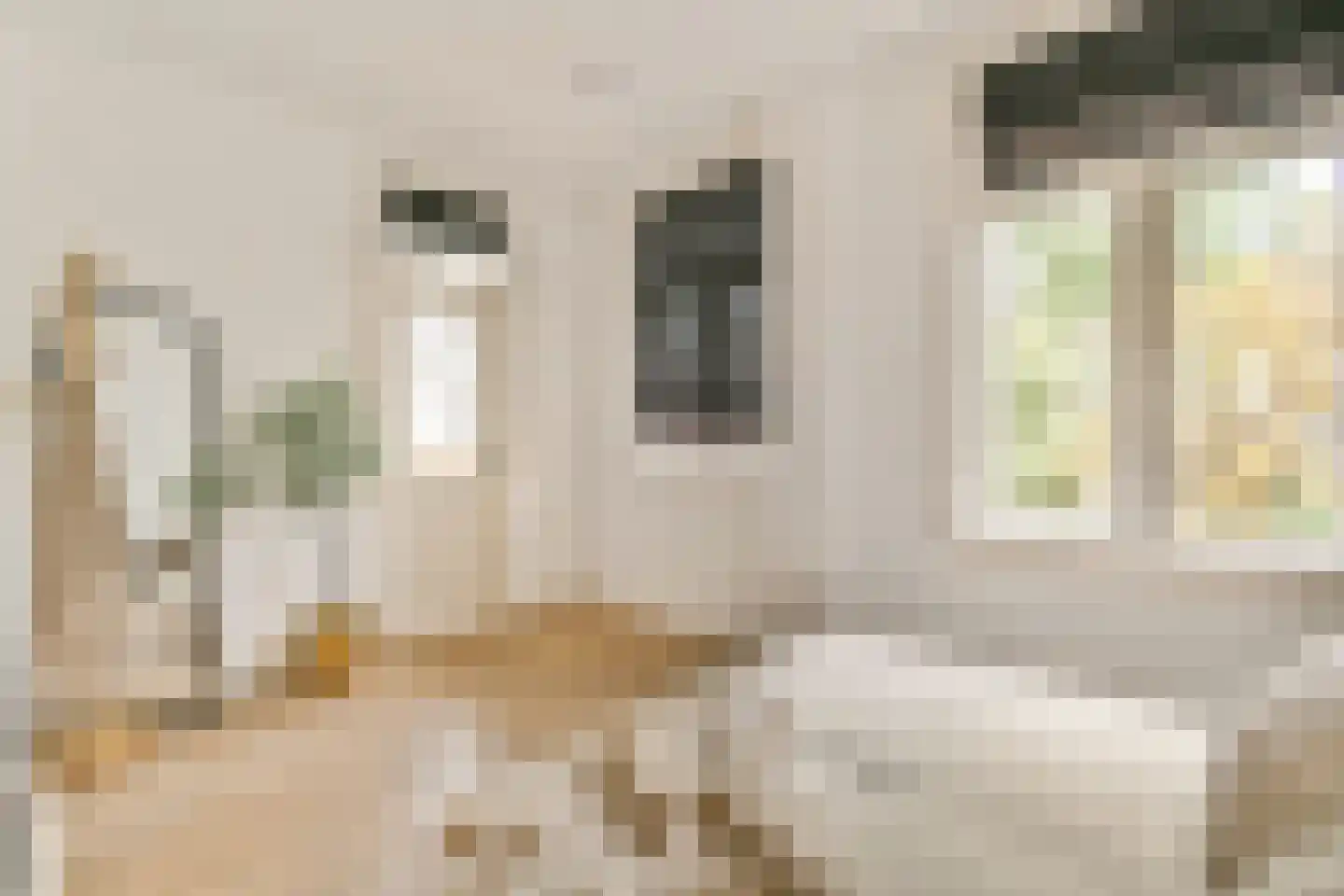 Van Kinsbergenstraat 24 2 Amsterdam thumbnail 16