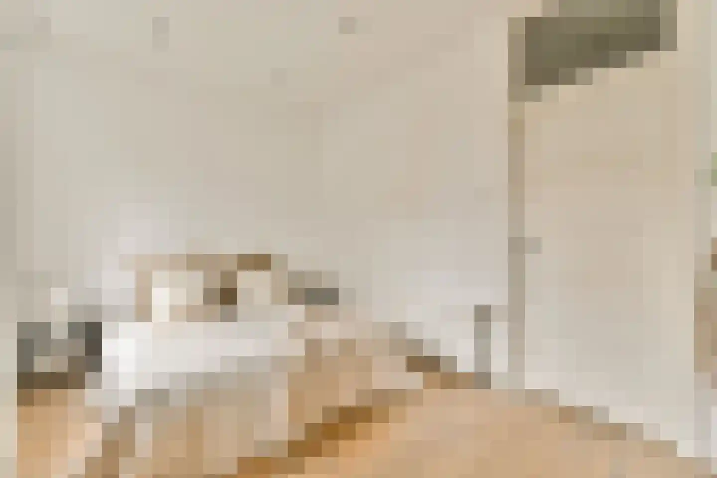 Van Kinsbergenstraat 24 2 Amsterdam thumbnail 17