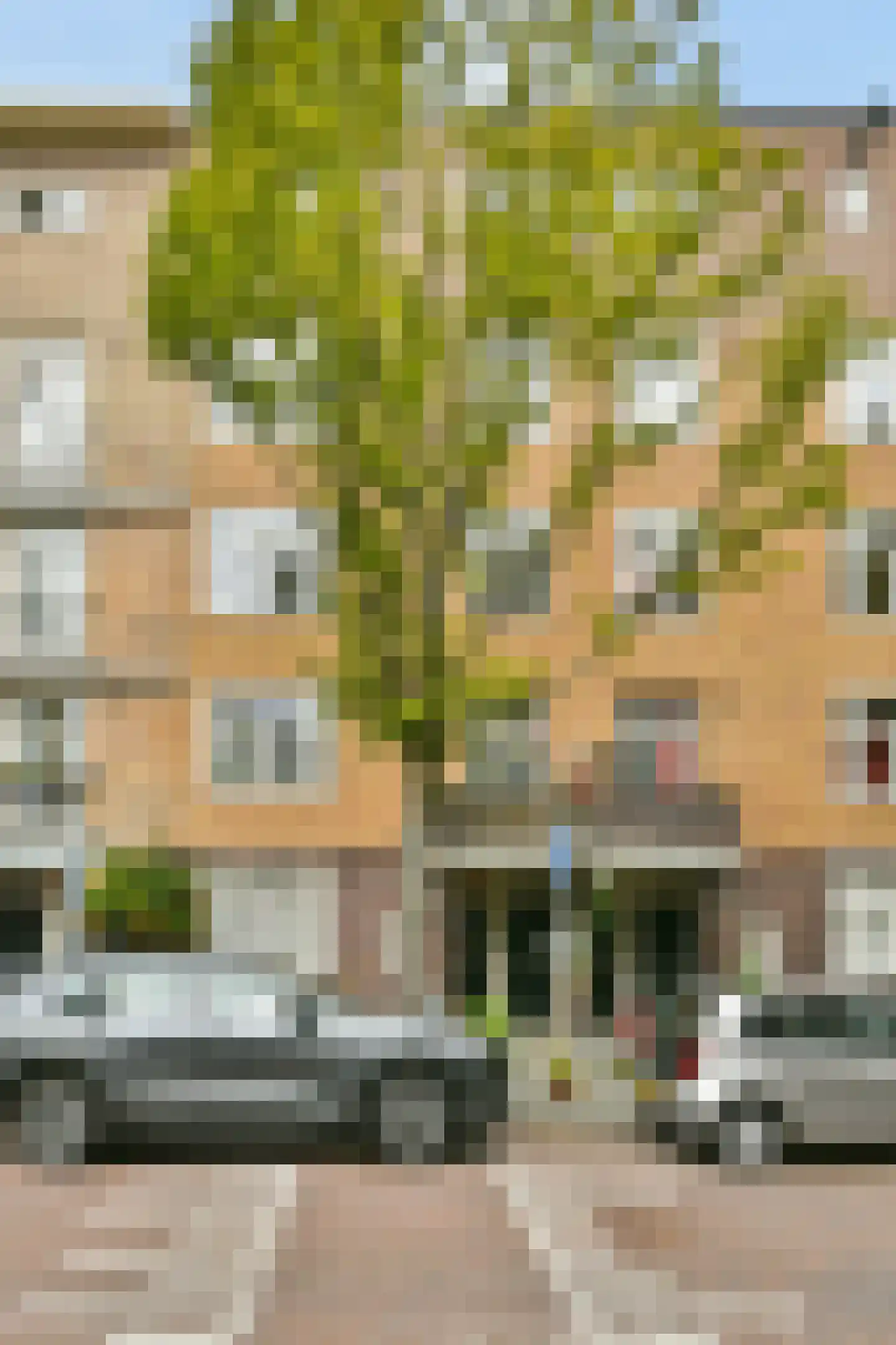 Van Kinsbergenstraat 24 2 Amsterdam thumbnail 25