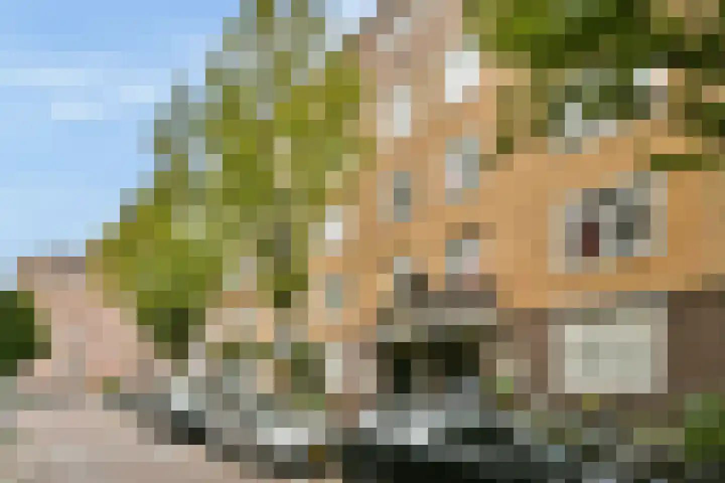 Van Kinsbergenstraat 24 2 Amsterdam thumbnail 26
