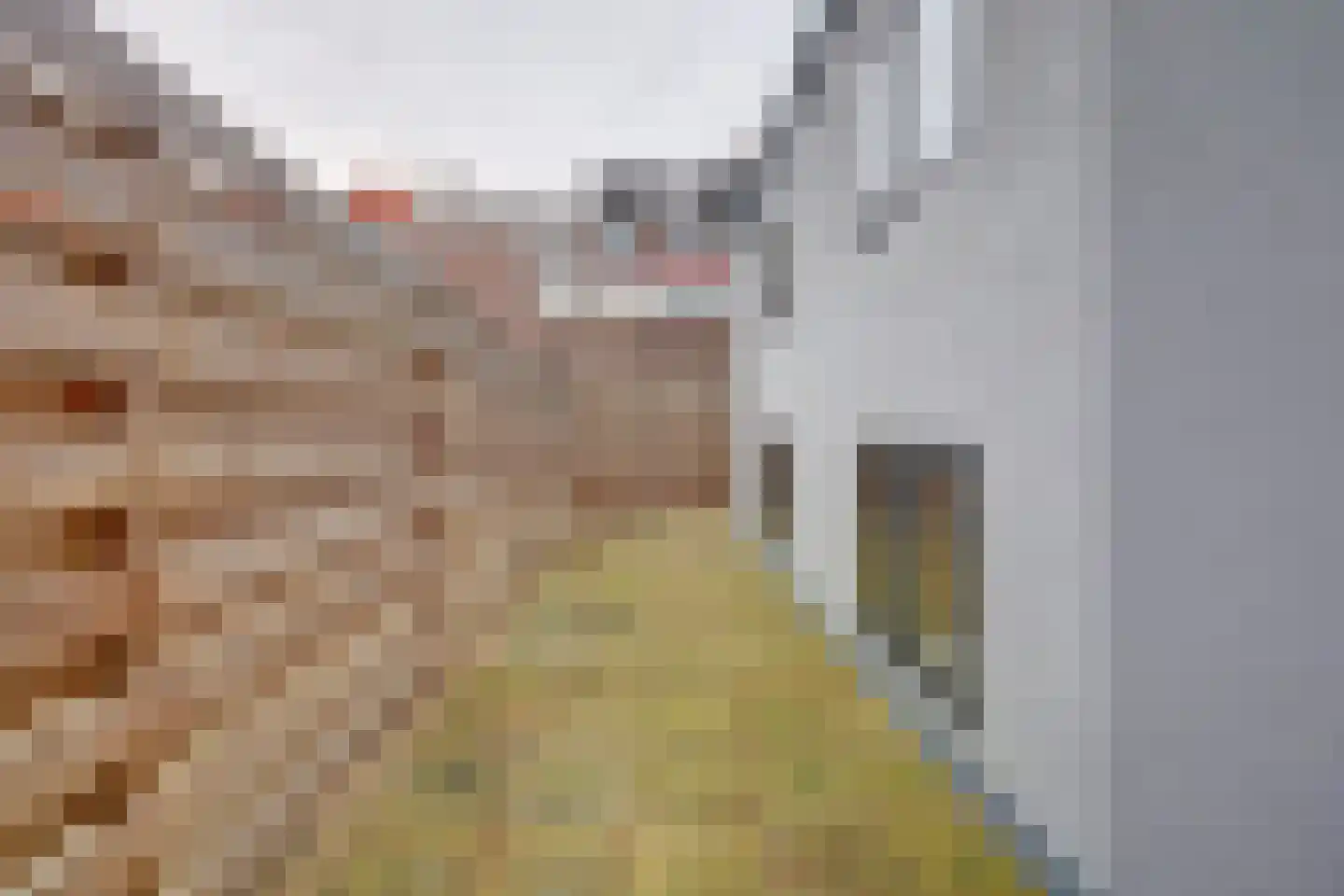 Van Kinsbergenstraat 27 B Den Haag thumbnail 17