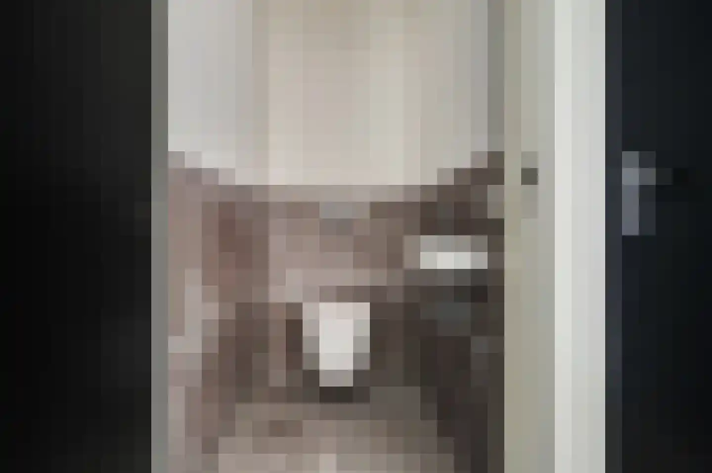 Van Kinsbergenstraat 27 C Den Haag thumbnail 14