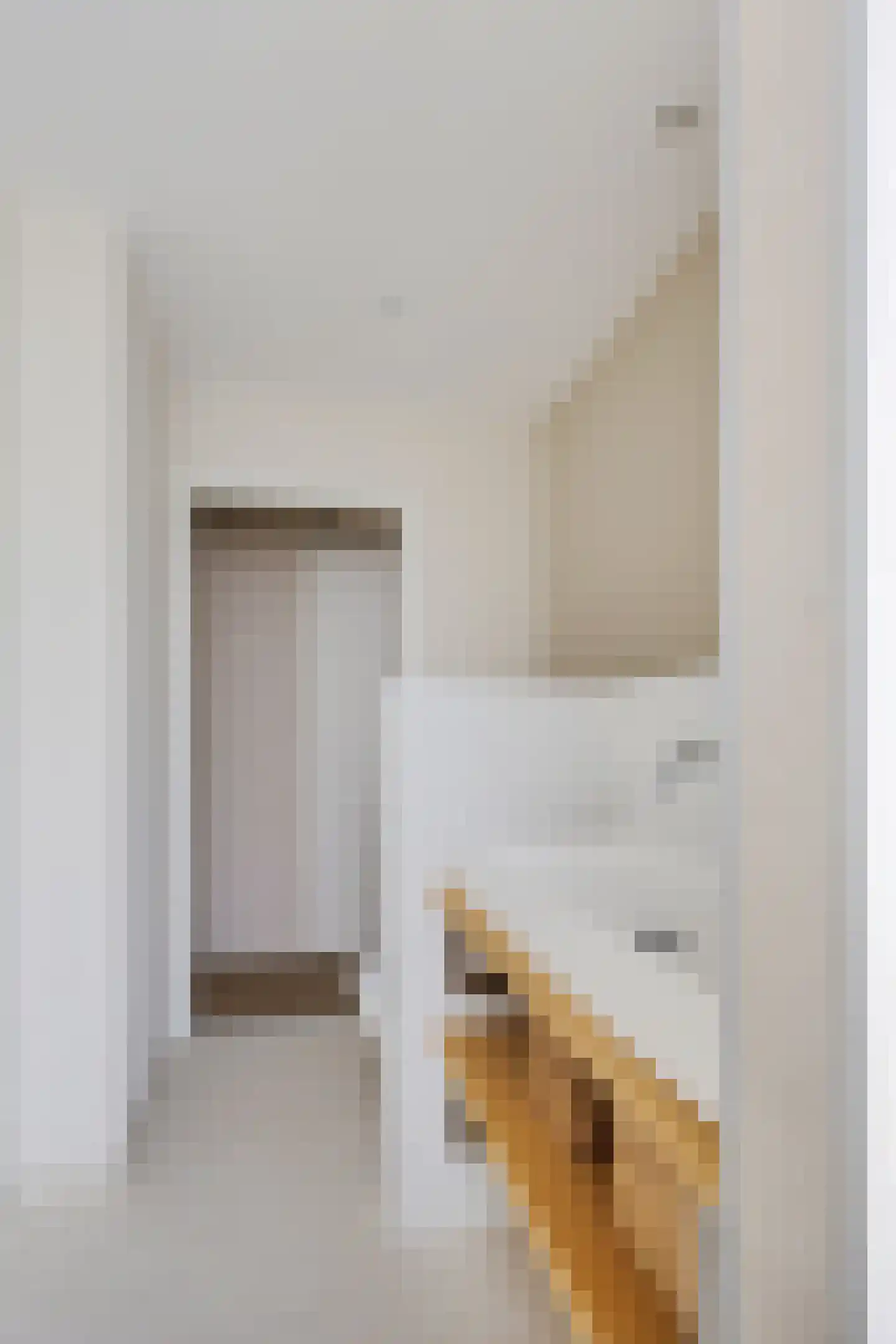 van Kinsbergenstraat 27 Dongen thumbnail 35