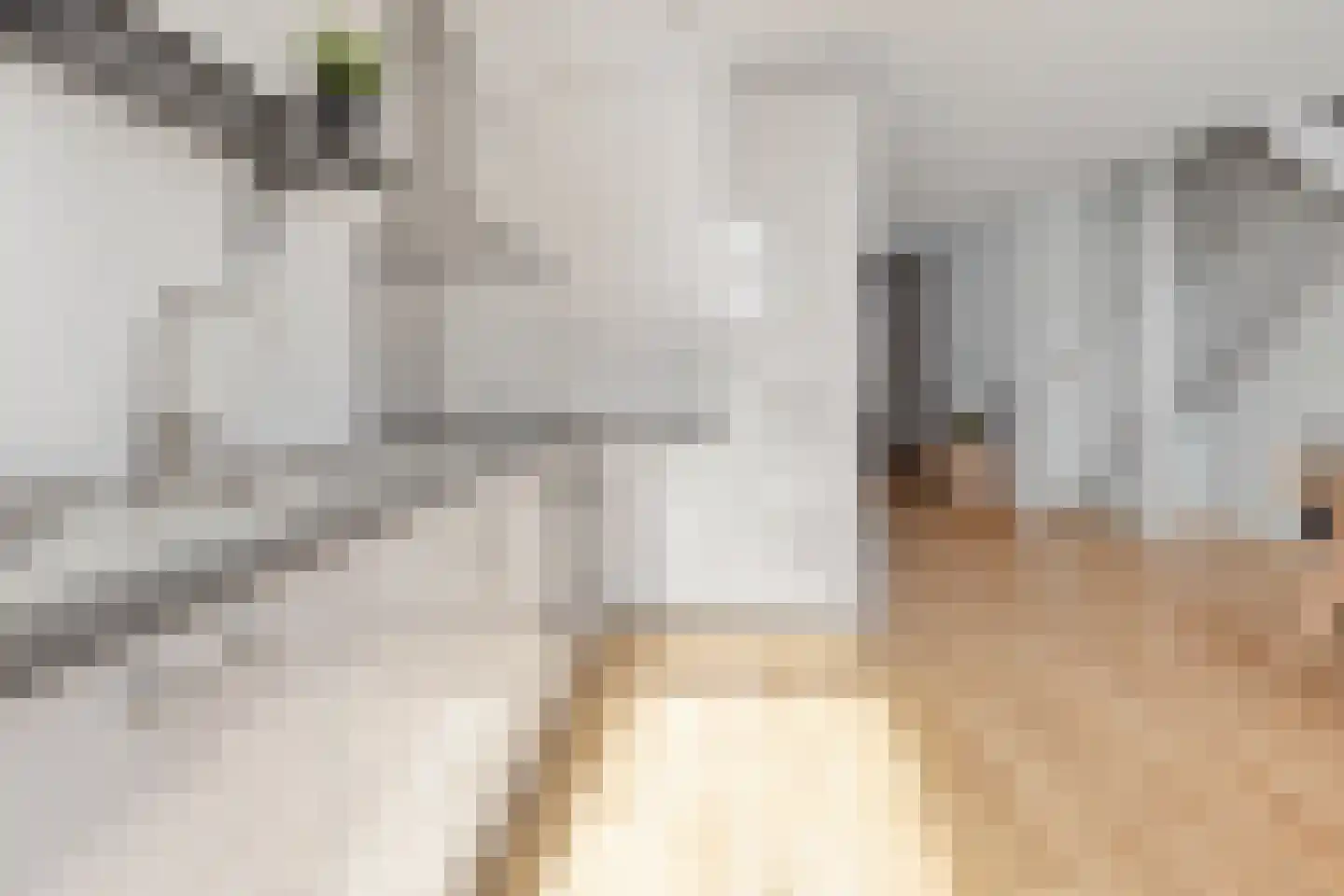 van Kinsbergenstraat 27 Dongen thumbnail 5