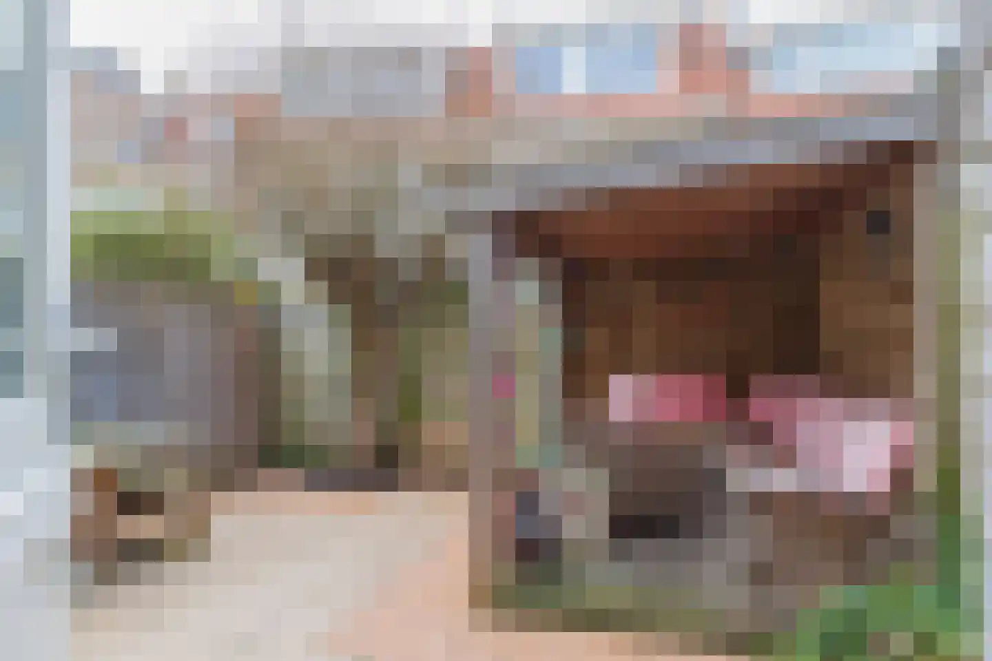 Van Kinsbergenstraat 29 Haarlem thumbnail 33
