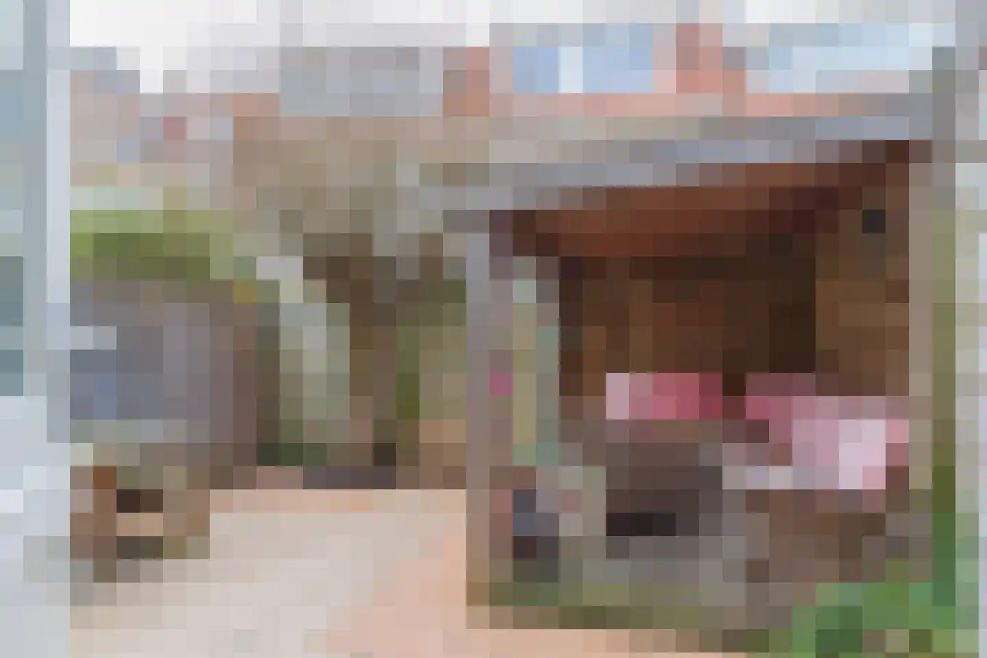 Van Kinsbergenstraat 29 Haarlem thumbnail 4