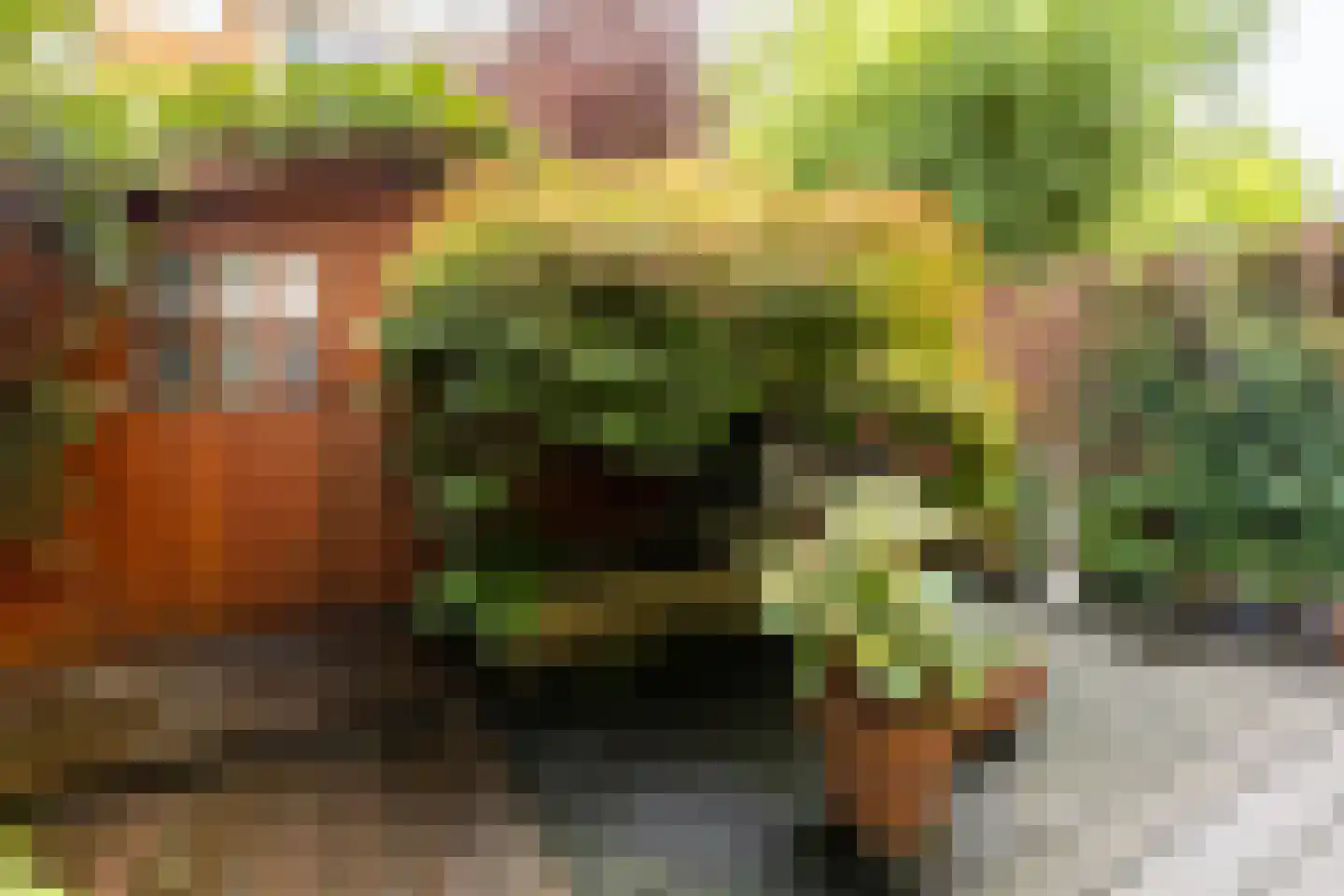 Van Kinsbergenstraat 31 Haarlem thumbnail 22