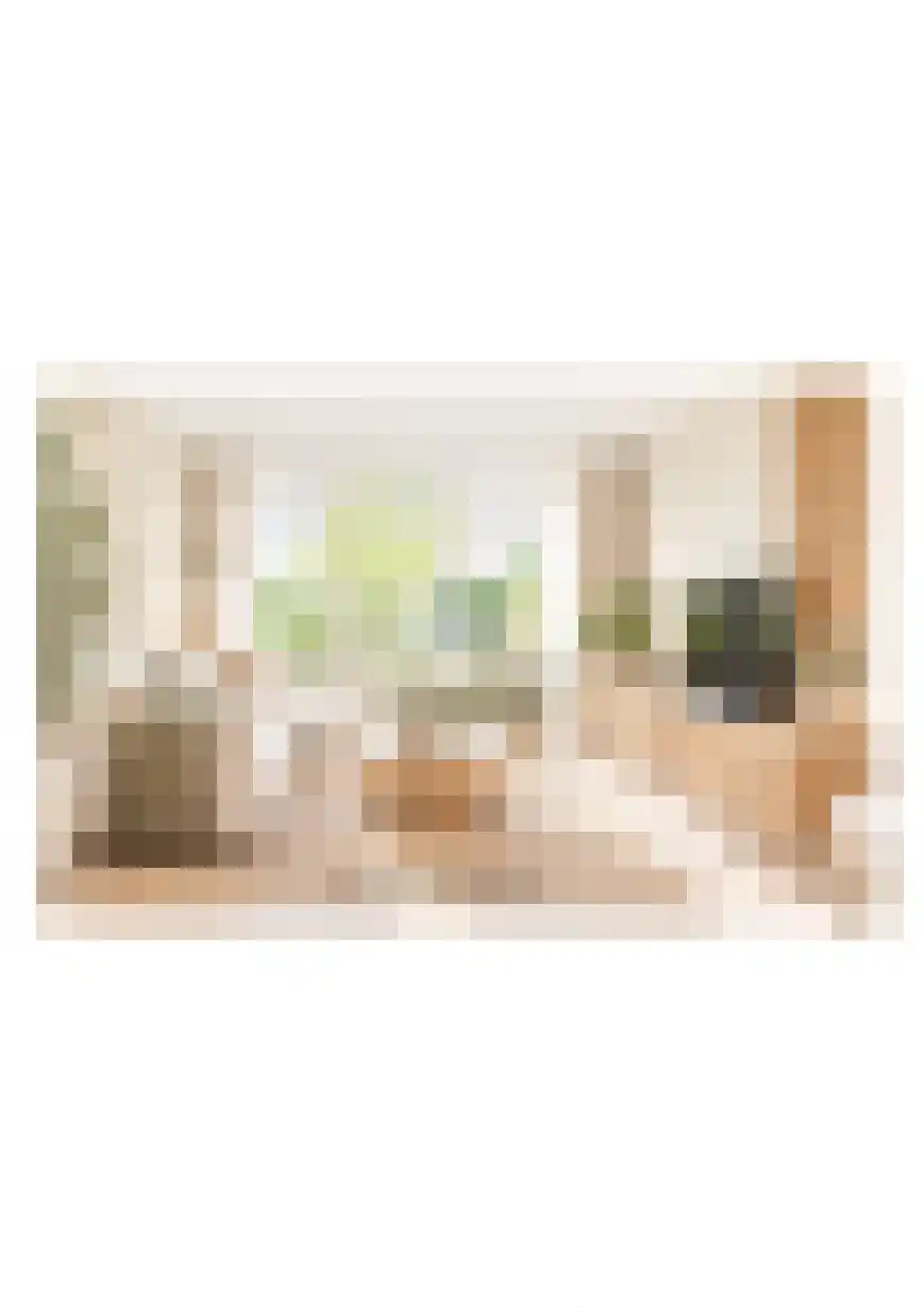 Van Kinsbergenstraat 31 Haarlem thumbnail 9
