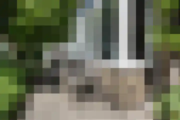 Van Kinsbergenstraat 36 Haarlem thumbnail 6