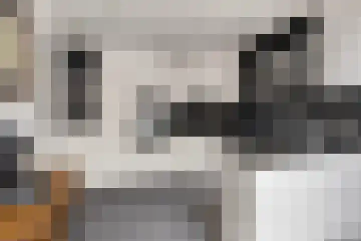 van Kinsbergenstraat 37 Eindhoven thumbnail 16