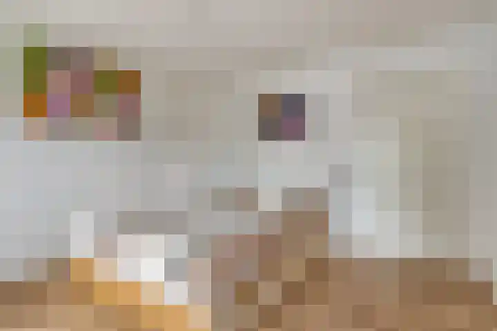 van Kinsbergenstraat 37 Eindhoven thumbnail 4