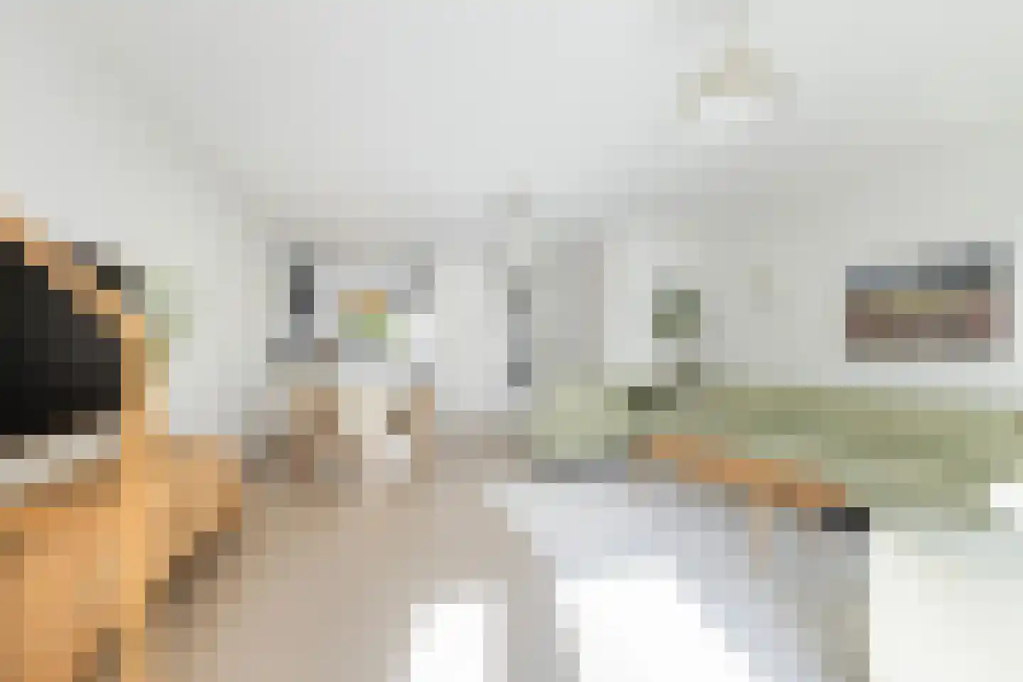 Van Kinsbergenstraat 4 Dordrecht thumbnail 14