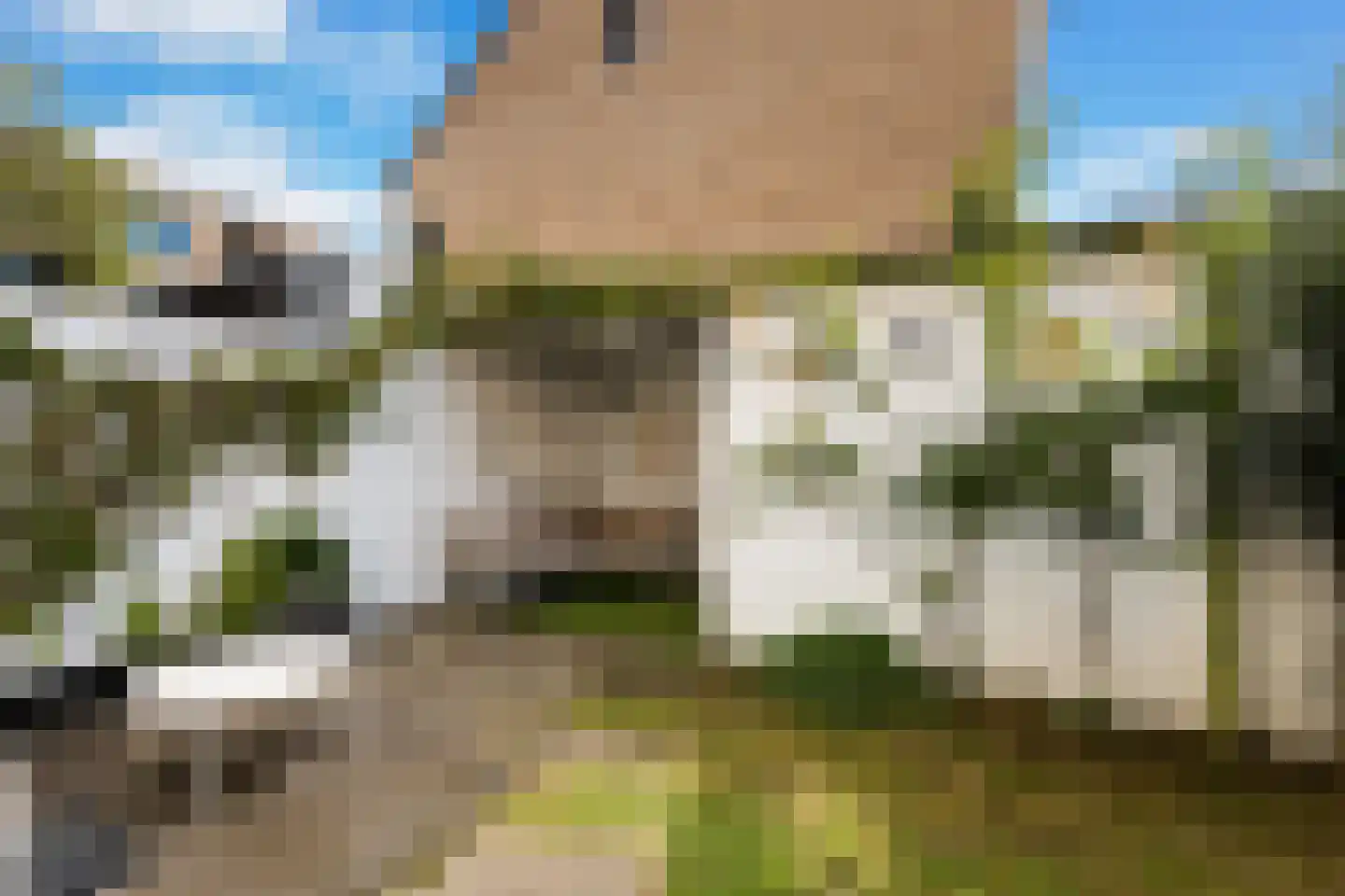 Van Kinsbergenstraat 4 Dordrecht thumbnail 4