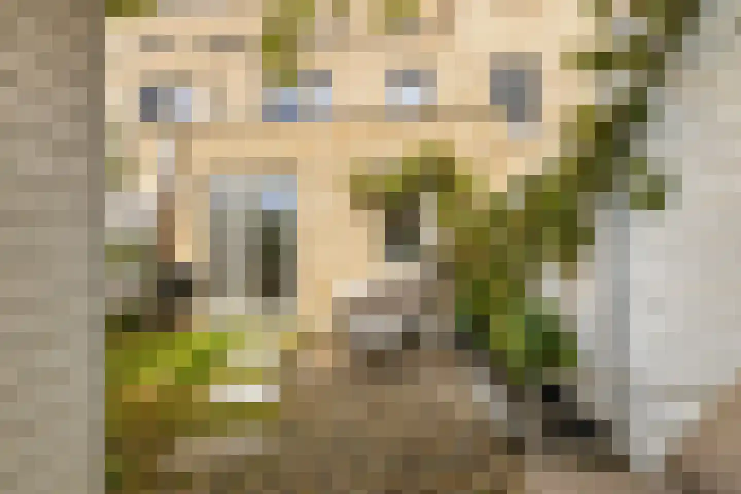 Van Kinsbergenstraat 4 Dordrecht thumbnail 42