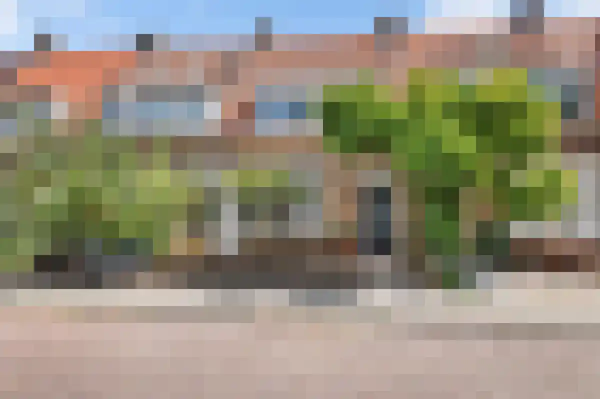 Van Kinsbergenstraat 48 Haarlem