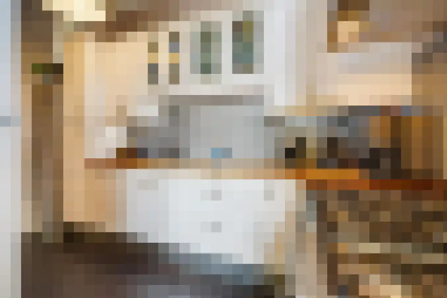 Van Kinsbergenstraat 59 Den Haag thumbnail 11