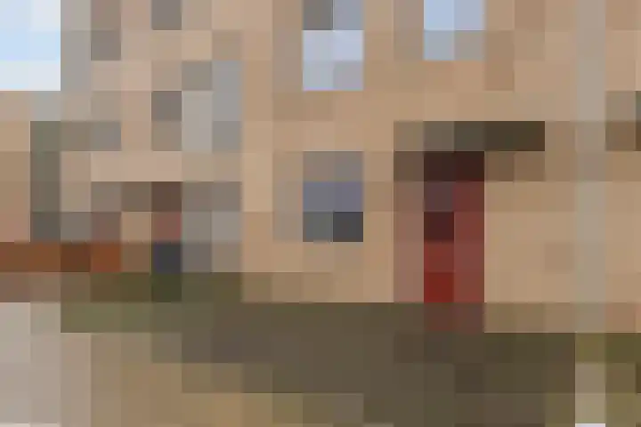 Van Kinsbergenstraat 6 Dordrecht thumbnail 33