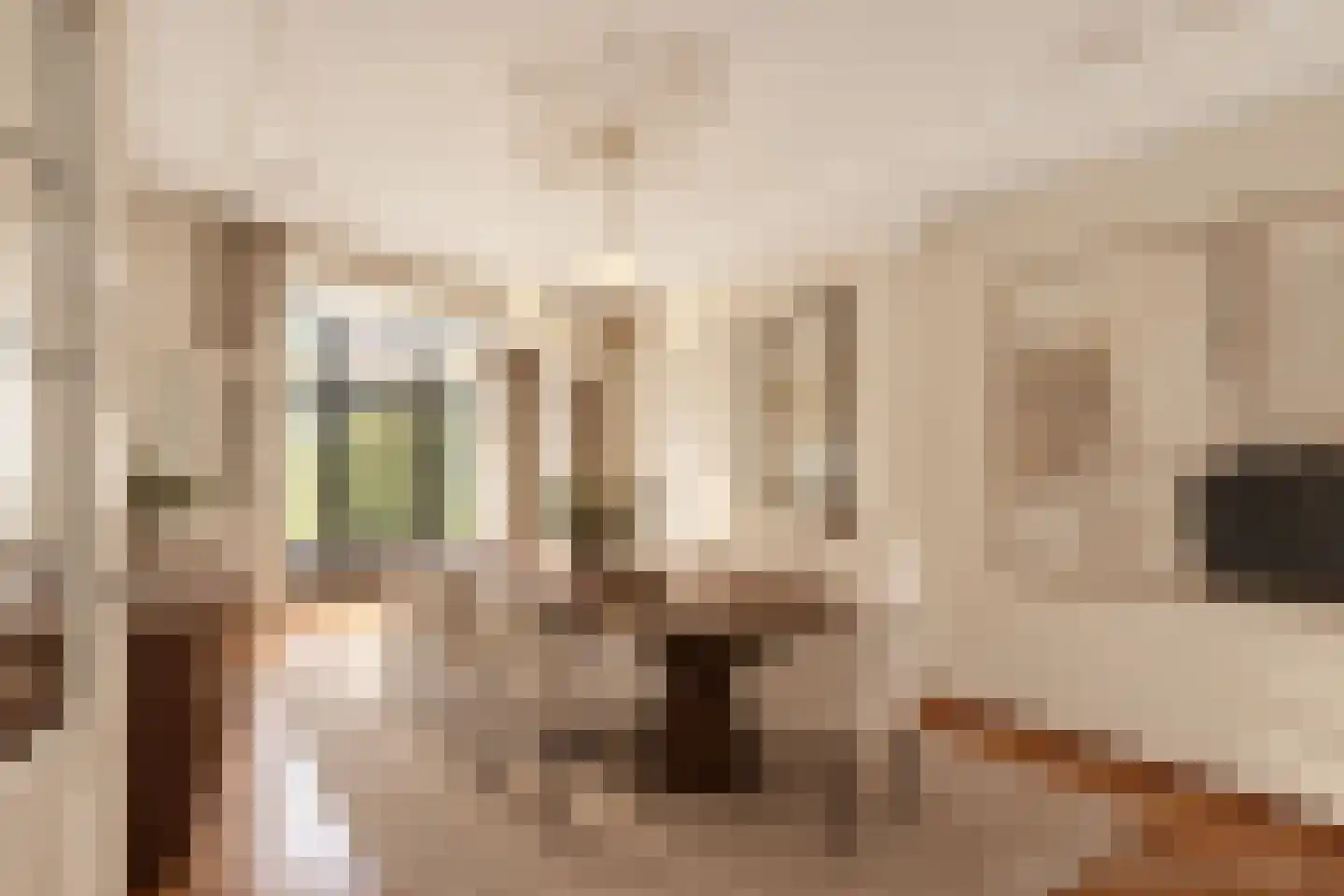 Van Kinsbergenstraat 61 Den Haag thumbnail 4