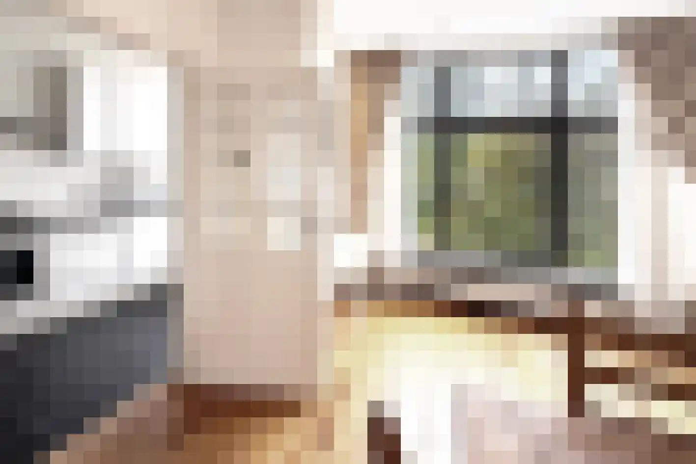 Van Kinsbergenstraat 61 Den Haag thumbnail 9