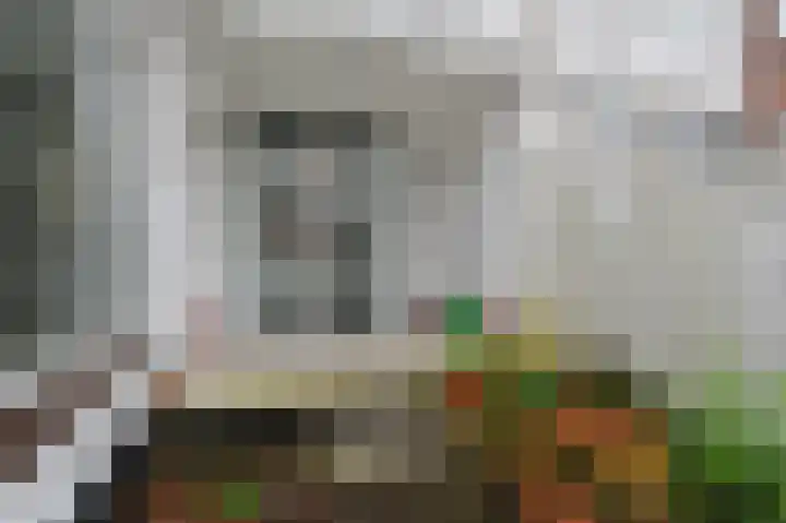 Van Kinsbergenstraat 65 Den Haag thumbnail 28