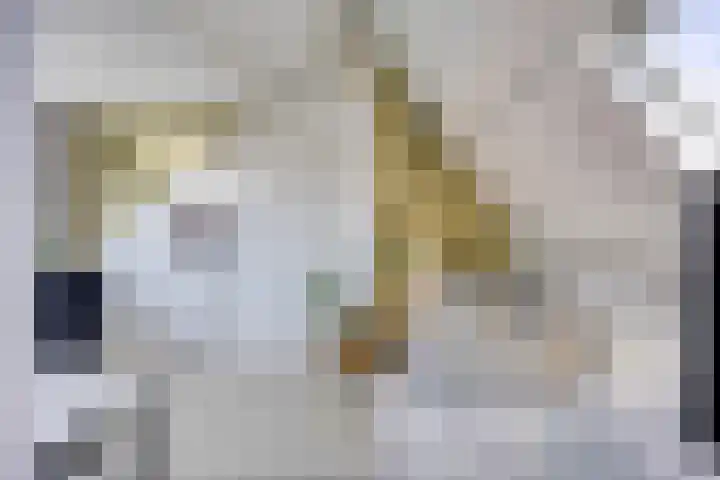 Van Kinsbergenstraat 7 Haarlem thumbnail 39