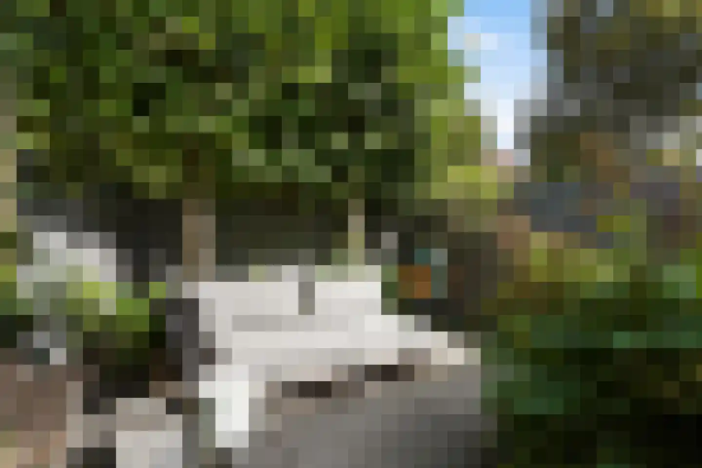 Van Kinsbergenstraat 73 Den Haag thumbnail 31