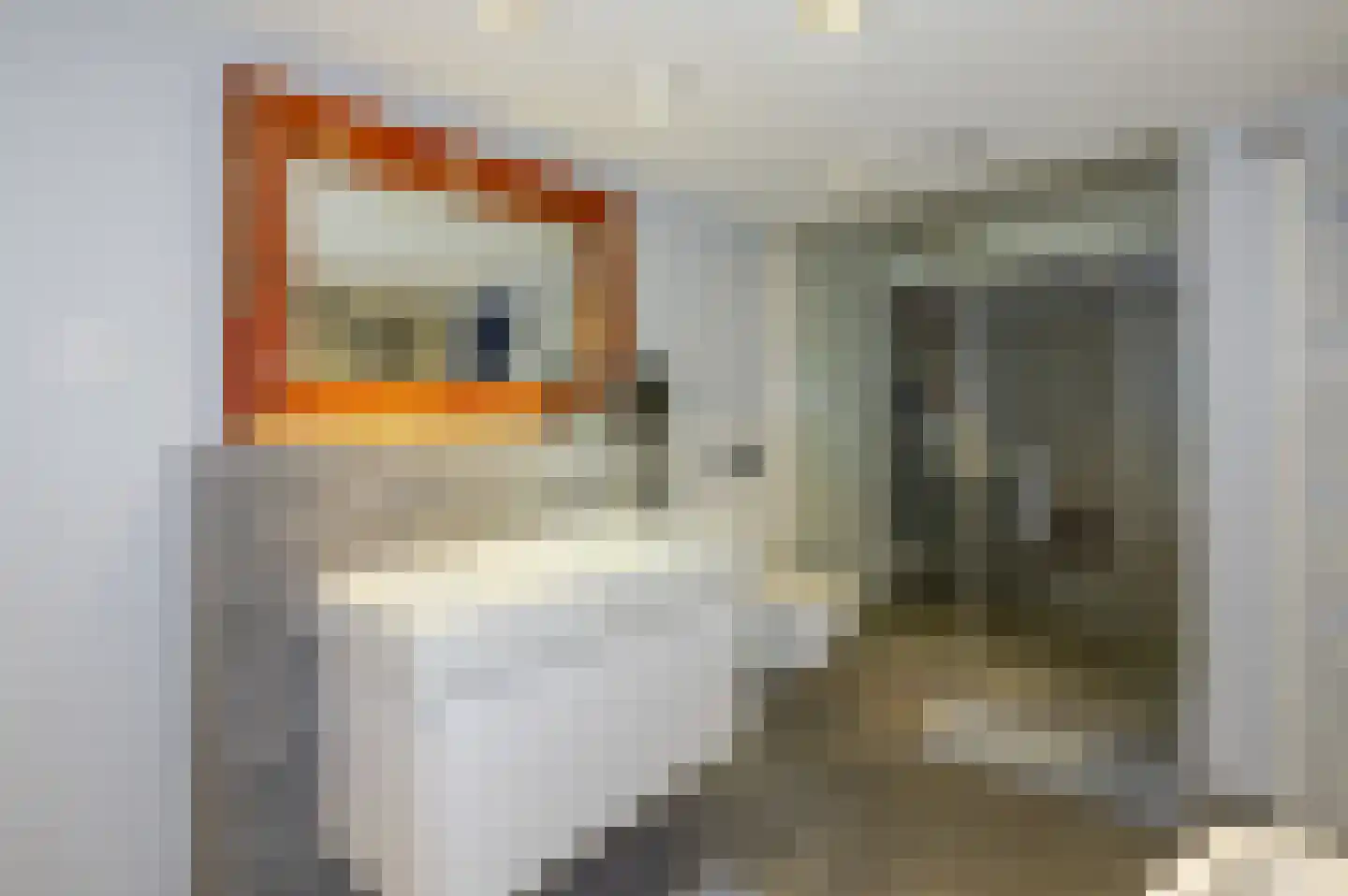 Van Kinsbergenstraat 83 T Den Haag thumbnail 7
