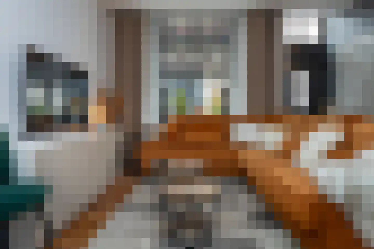 van Kinsbergenstraat 9 Elburg thumbnail 12