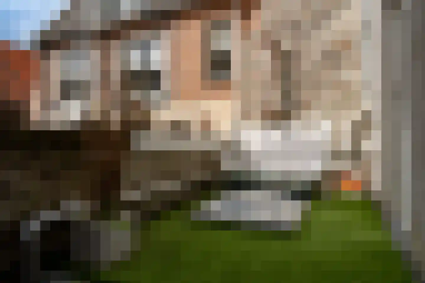 van Kinsbergenstraat 9 Elburg thumbnail 31
