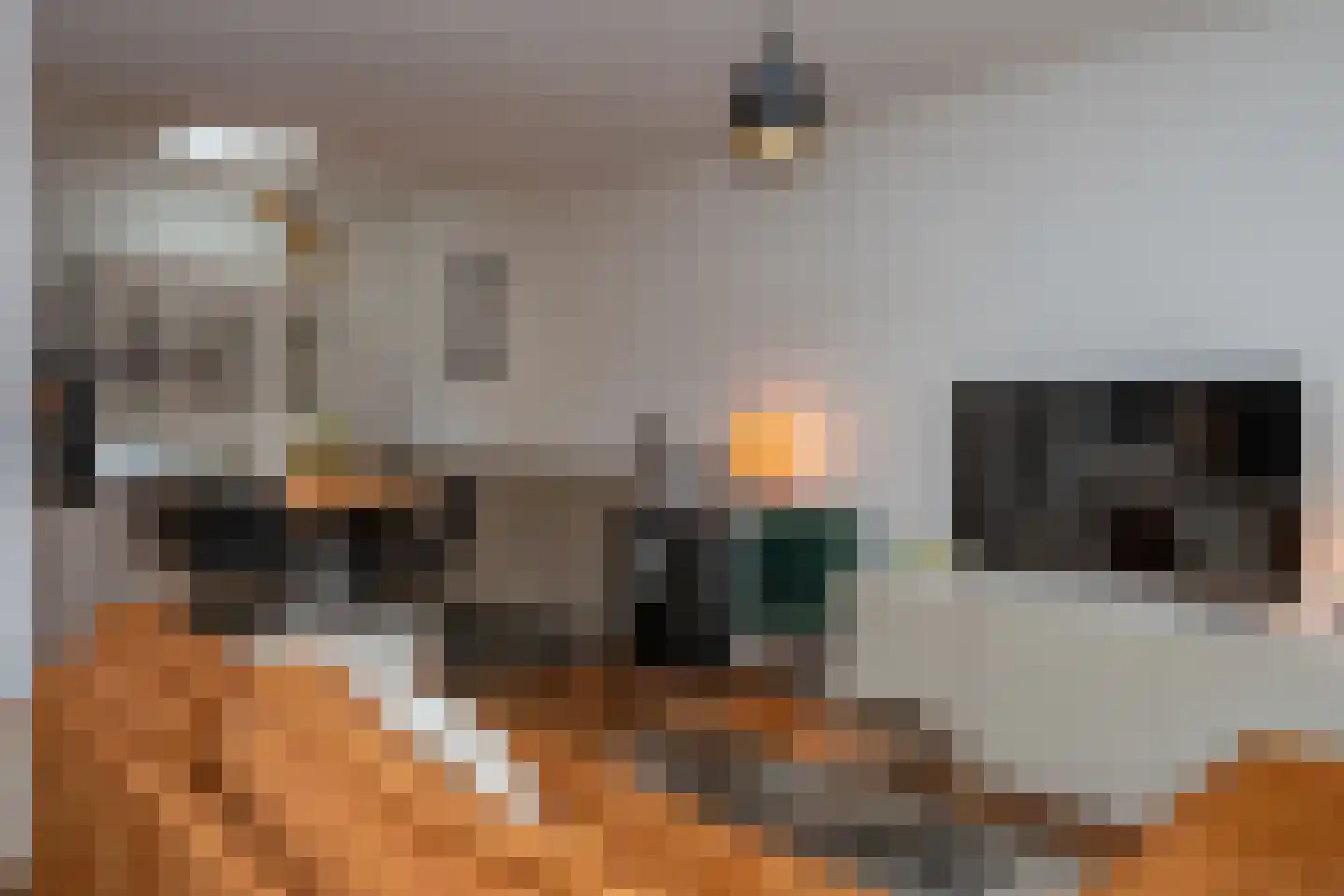 van Kinsbergenstraat 9 Elburg thumbnail 7
