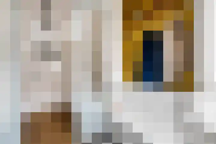 Van Kinsbergenstraat 9 Haarlem thumbnail 21