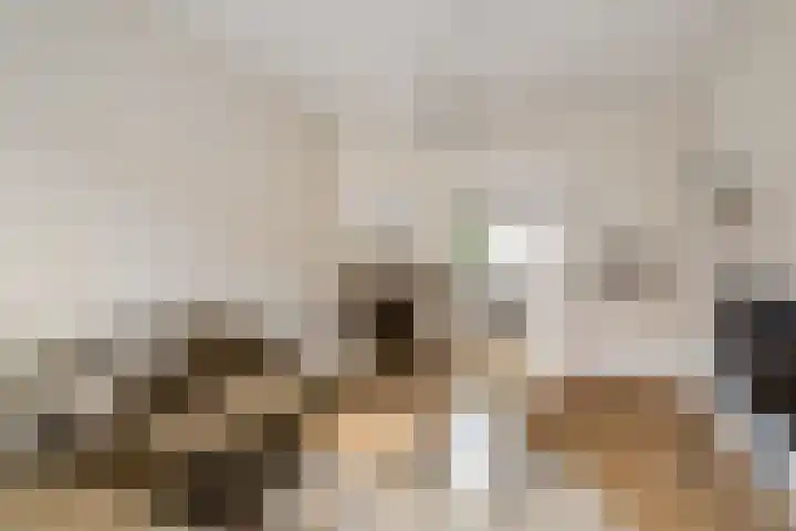 Van Kinsbergenstraat 9 Haarlem thumbnail 6