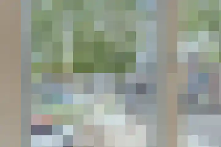 Van Kinschotplein 17 Tilburg thumbnail 17
