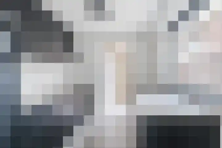 Van Kinschotplein 17 Tilburg thumbnail 7