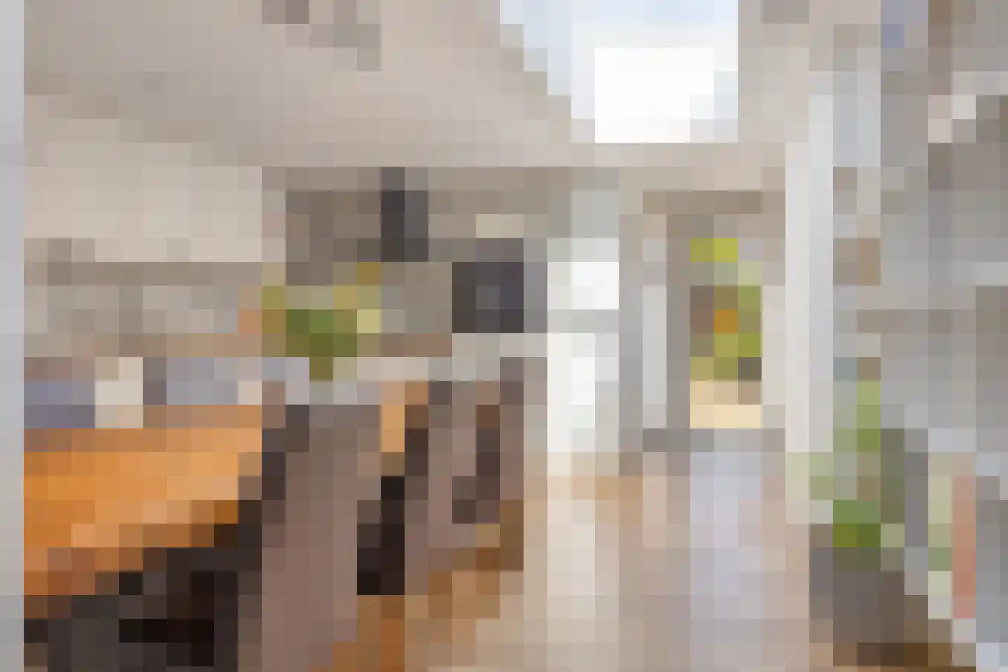 Van Kinschotplein 20 Tilburg thumbnail 11