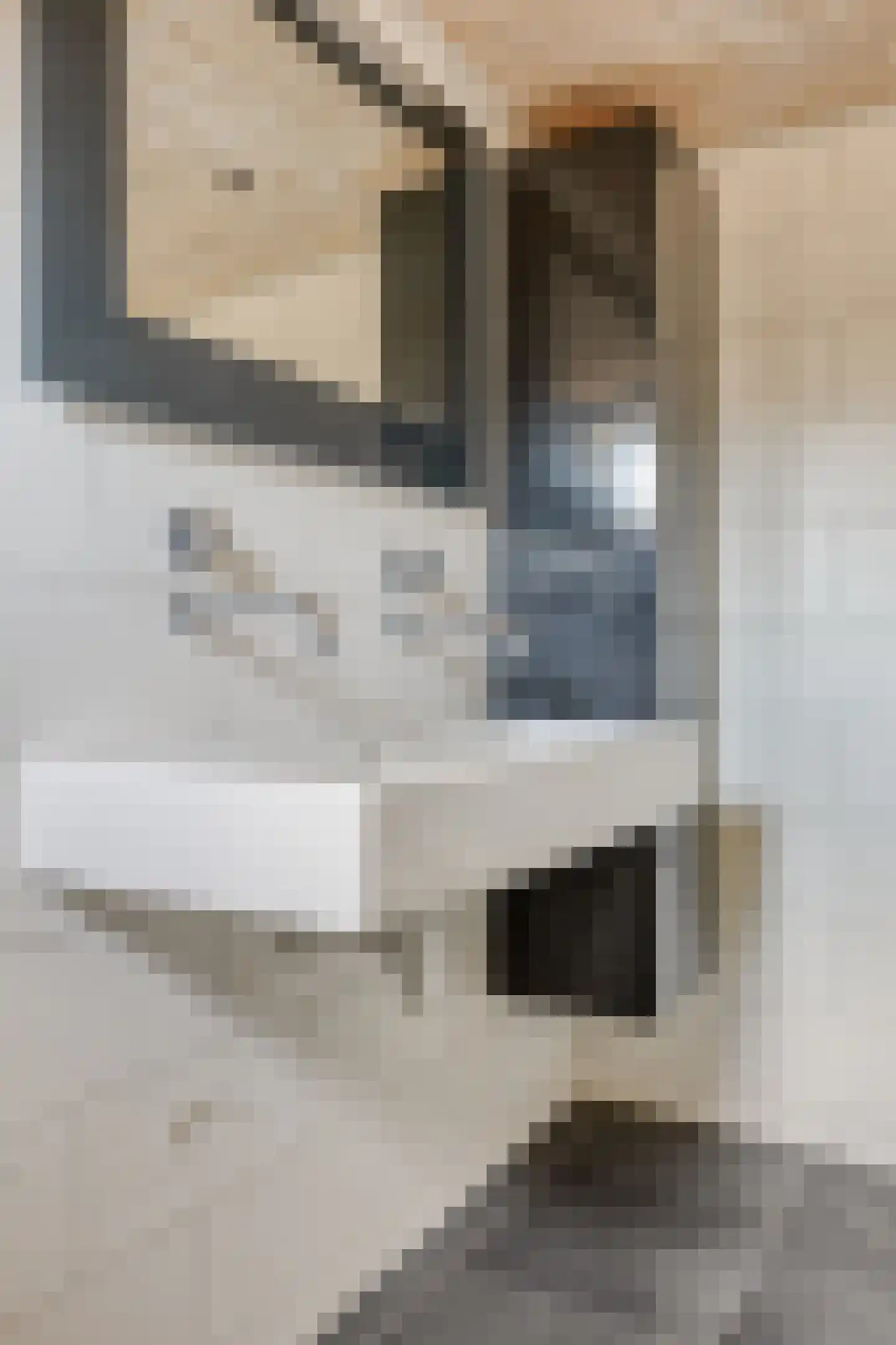 Van Kinschotplein 20 Tilburg thumbnail 22