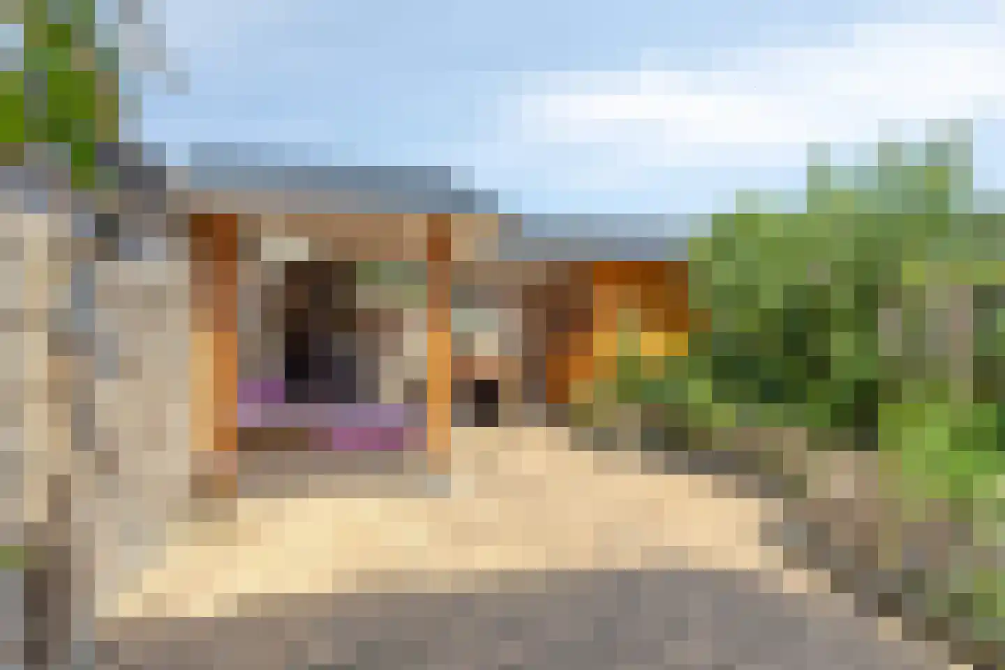 Van Kinschotplein 20 Tilburg thumbnail 46